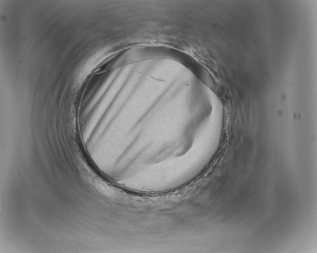 X0000075380005200609291602