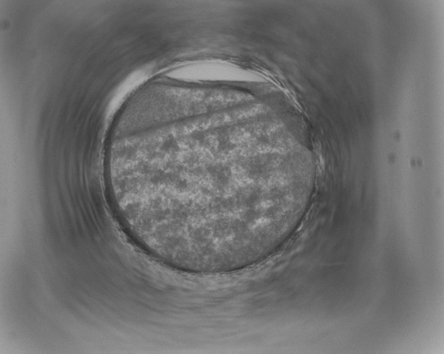 X0000075380006200609291602