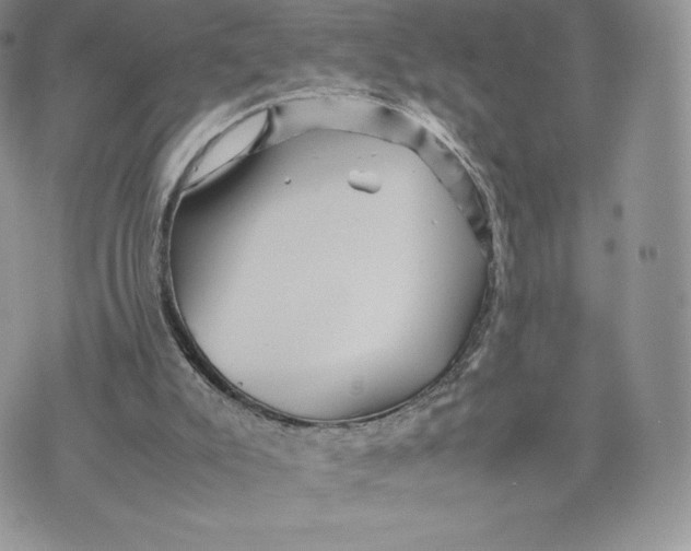 X0000075380007200609291602