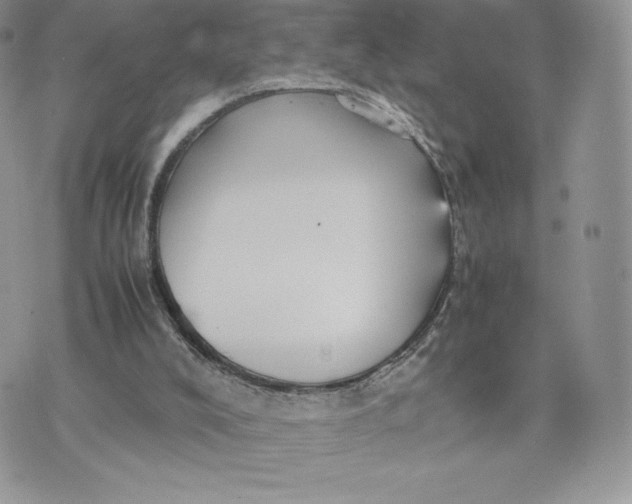 X0000075380008200609291602