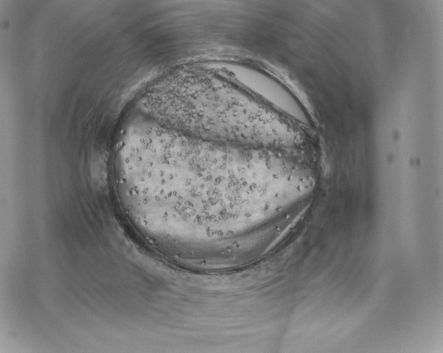 X0000075380010200609291602