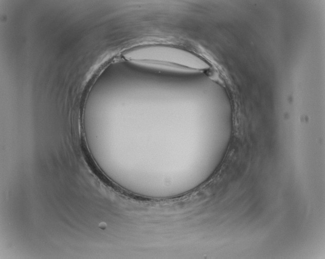 X0000075380011200609291602