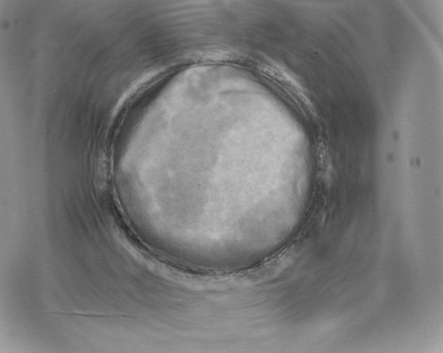 X0000075380012200609291602