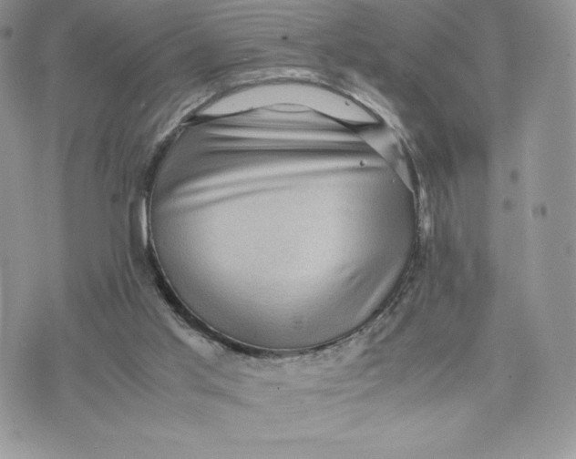 X0000075380013200609291602