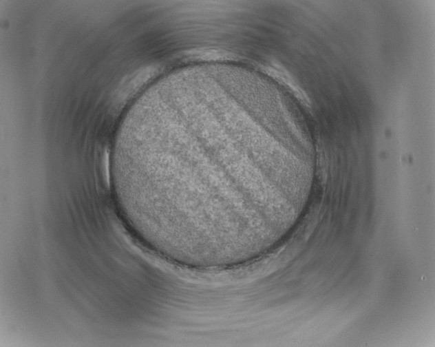 X0000075380014200609291602