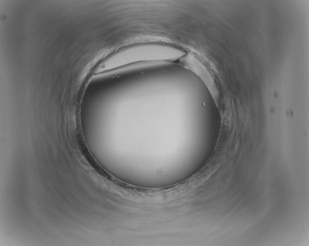 X0000075380015200609291602