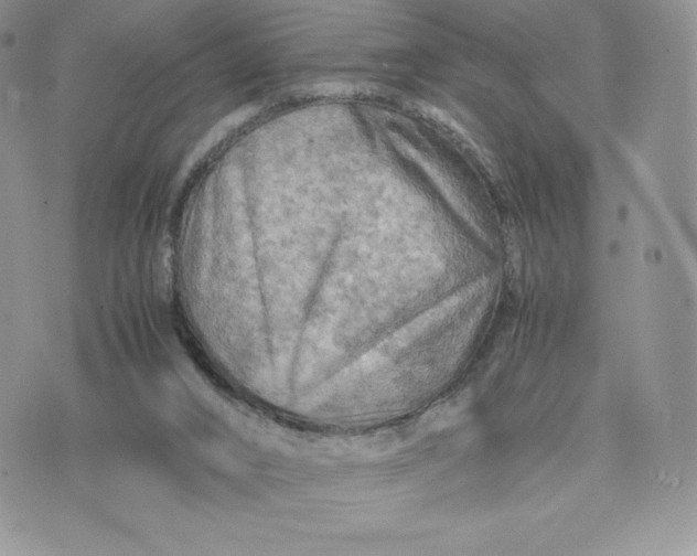 X0000075380016200609291602