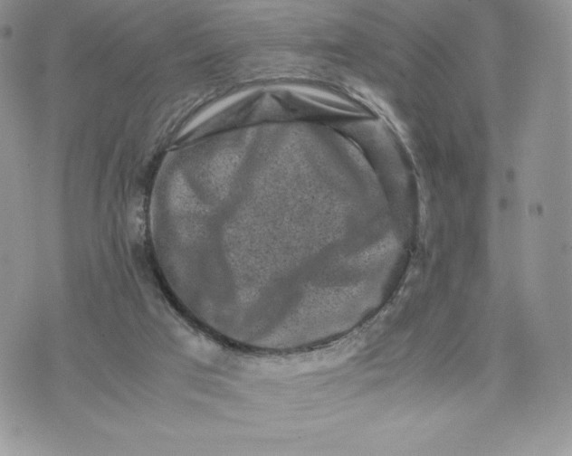 X0000075380017200609291602