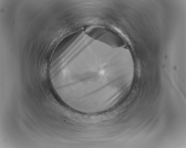 X0000075380018200609291602