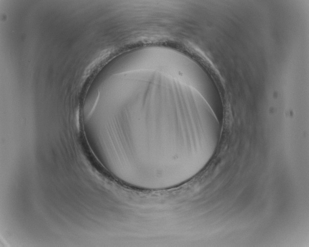 X0000075380019200609291602