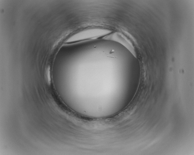 X0000075380020200609291602