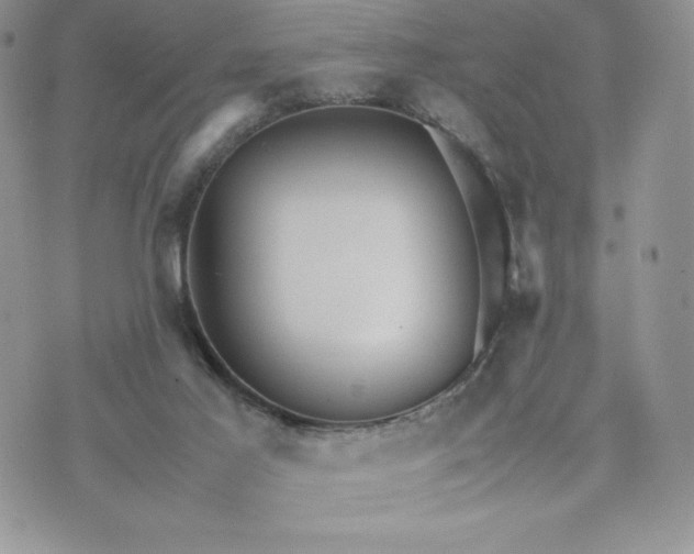 X0000075380021200609291602