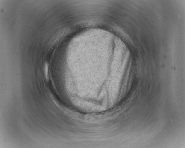 X0000075380022200609291602