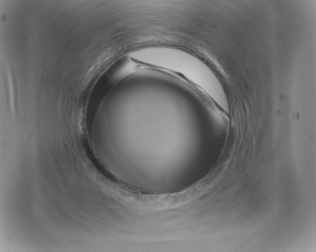 X0000075380023200609291602