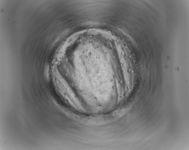 X0000075380024200609291602