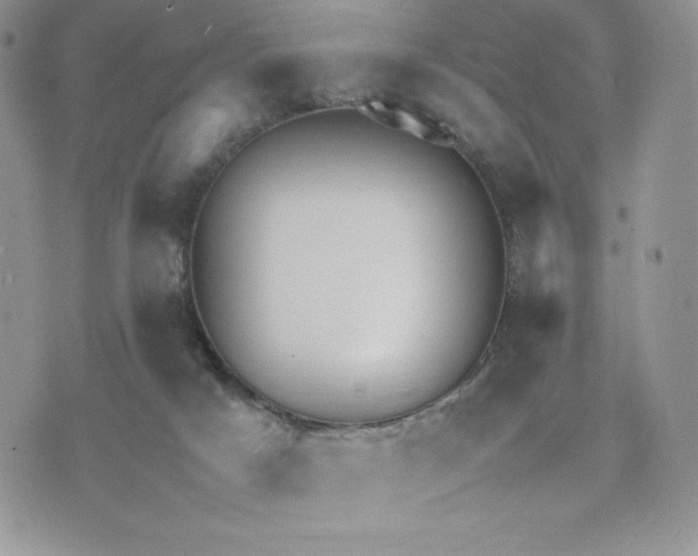 X0000075380025200609291602