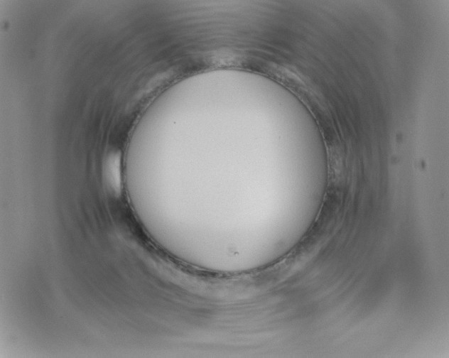 X0000075380028200609291602