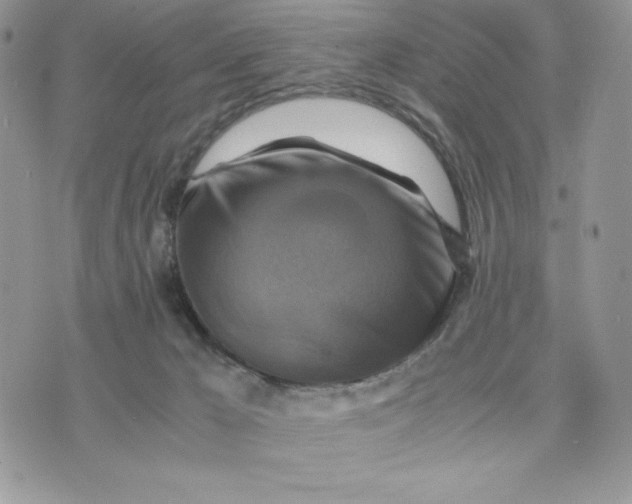 X0000075380029200609291602