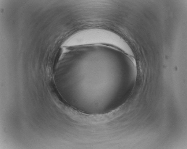 X0000075380031200609291602