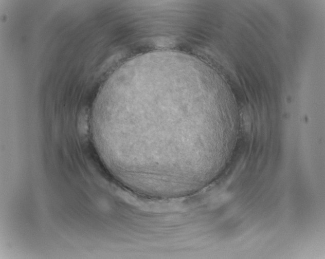 X0000075380032200609291602