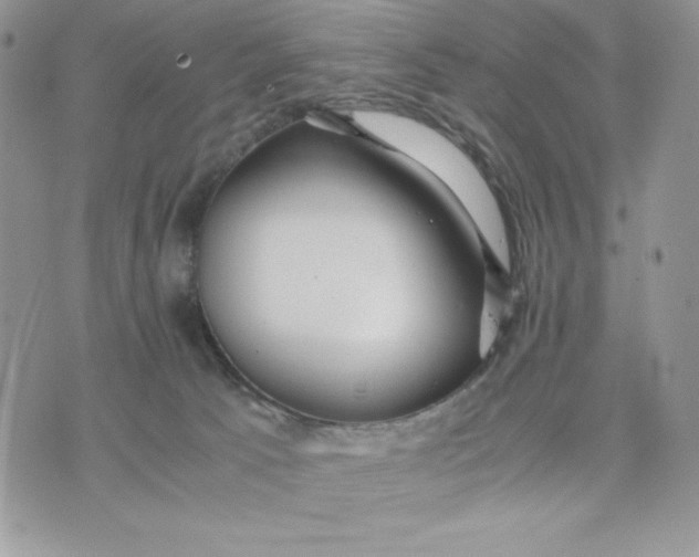 X0000075380033200609291602