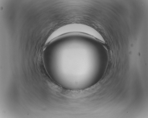 X0000075380037200609291602