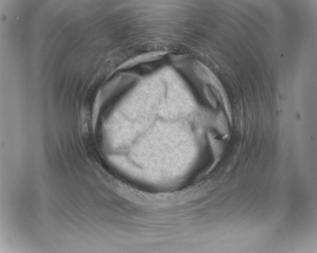 X0000075380038200609291602