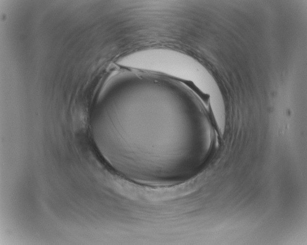 X0000075380039200609291602