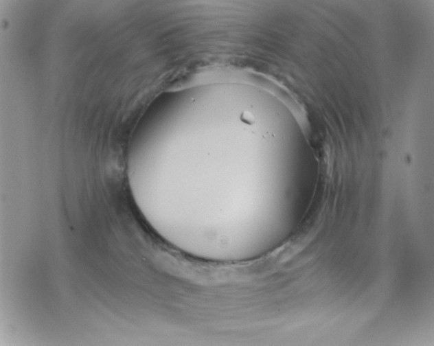 X0000075380040200609291602