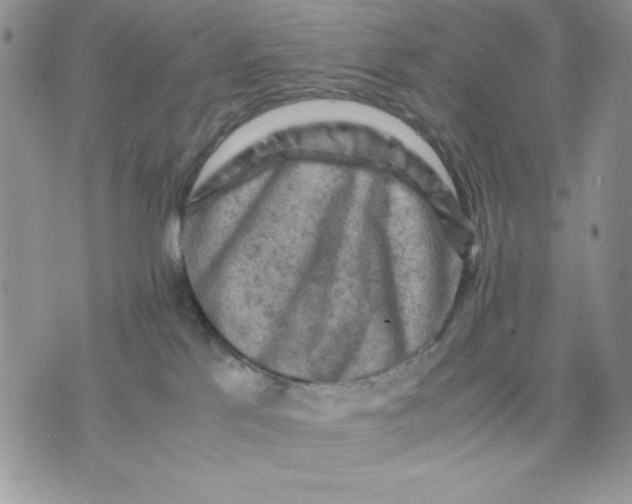 X0000075380041200609291602