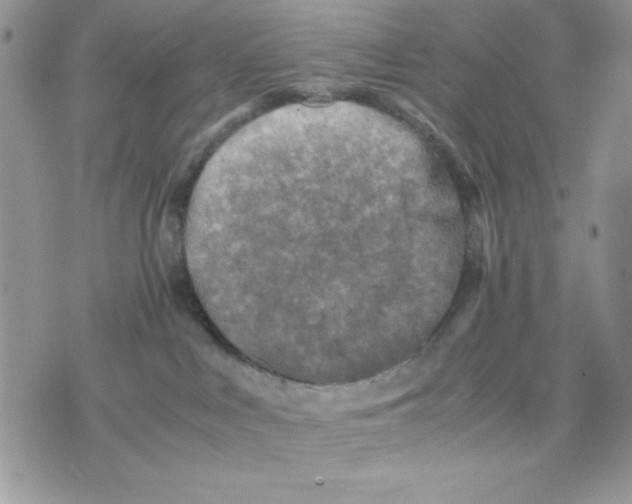 X0000075380043200609291602