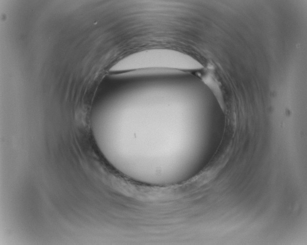 X0000075380044200609291602