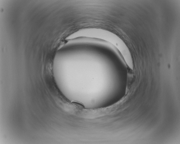 X0000075380045200609291602