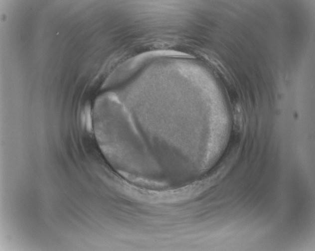 X0000075380046200609291602