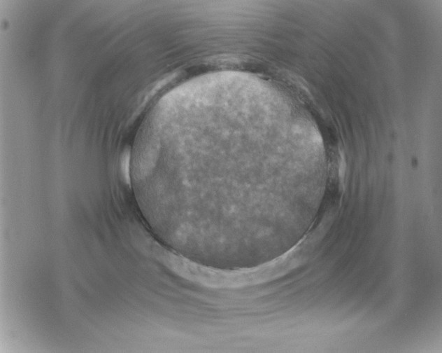 X0000075380047200609291602