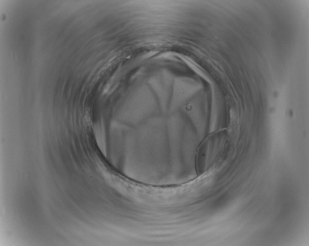 X0000075380048200609291602