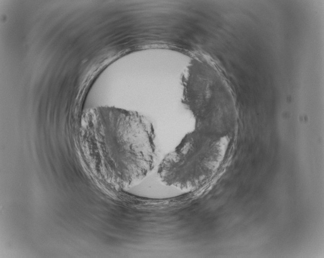 X0000075380049200609291601