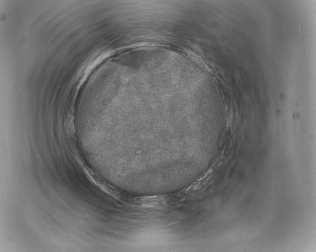 X0000075380050200609291601