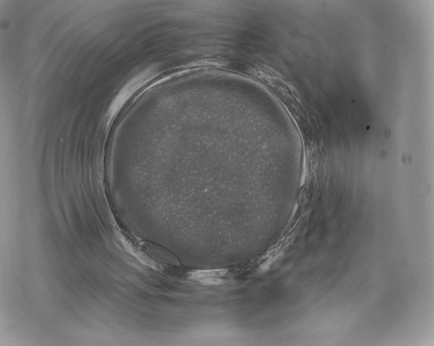 X0000075380051200609291601