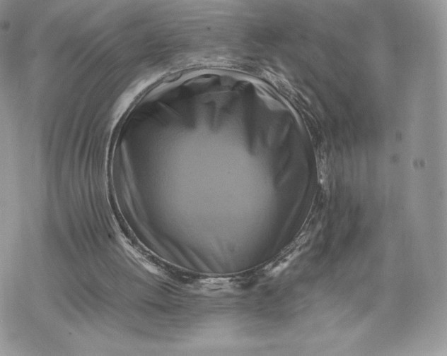 X0000075380052200609291601