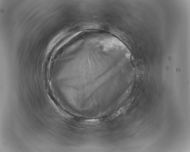 X0000075380053200609291601