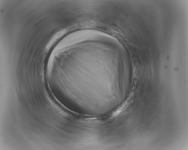 X0000075380054200609291601