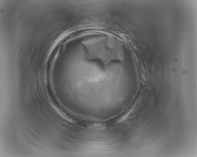 X0000075380056200609291601