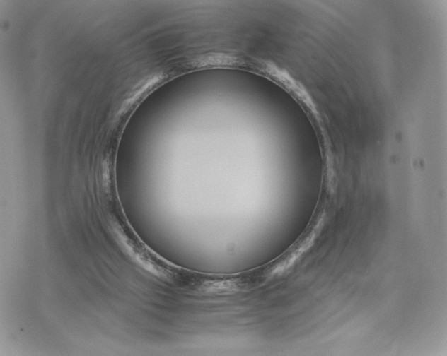 X0000075380057200609291601