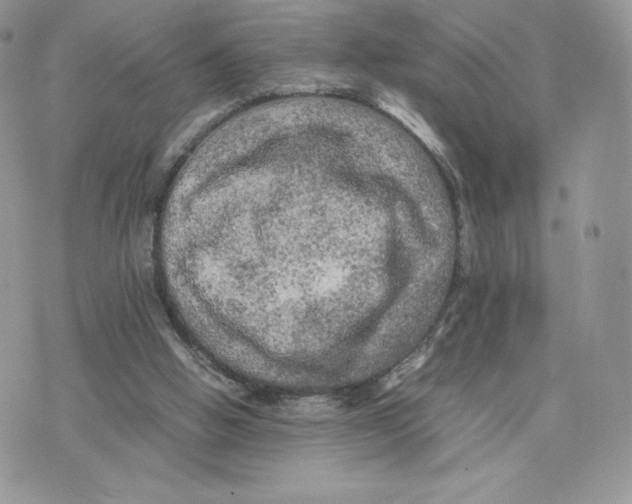 X0000075380058200609291601