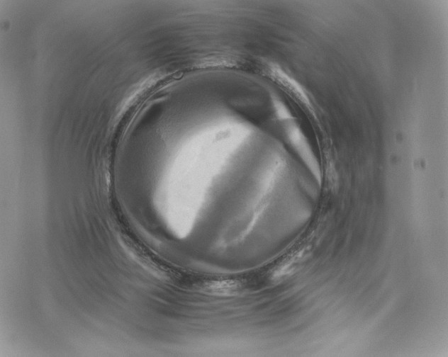 X0000075380059200609291601