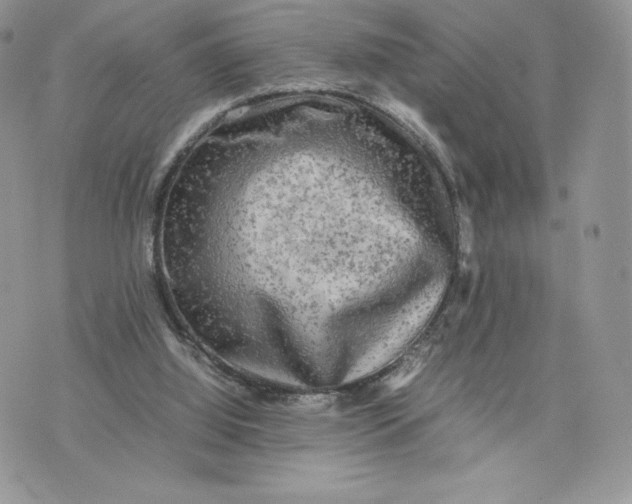 X0000075380060200609291601