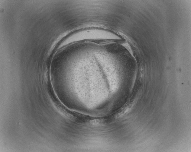 X0000075380064200609291601