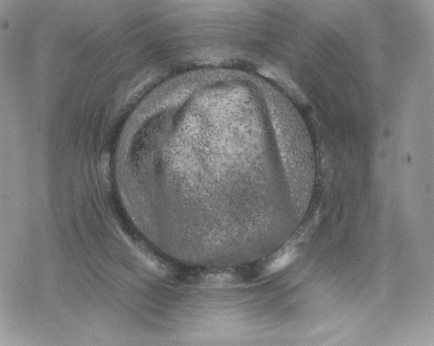 X0000075380066200609291601