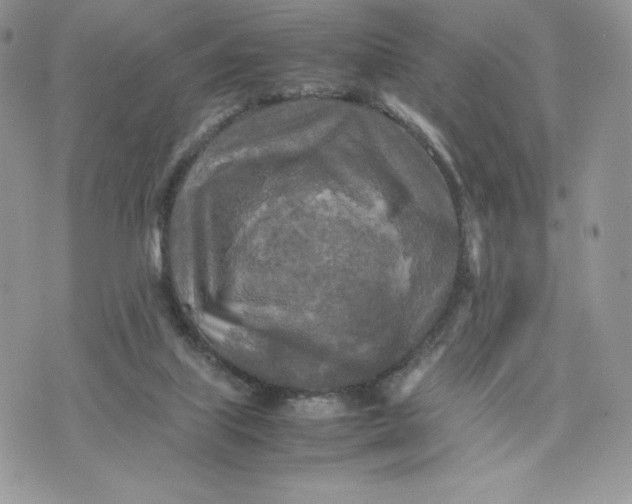 X0000075380067200609291601